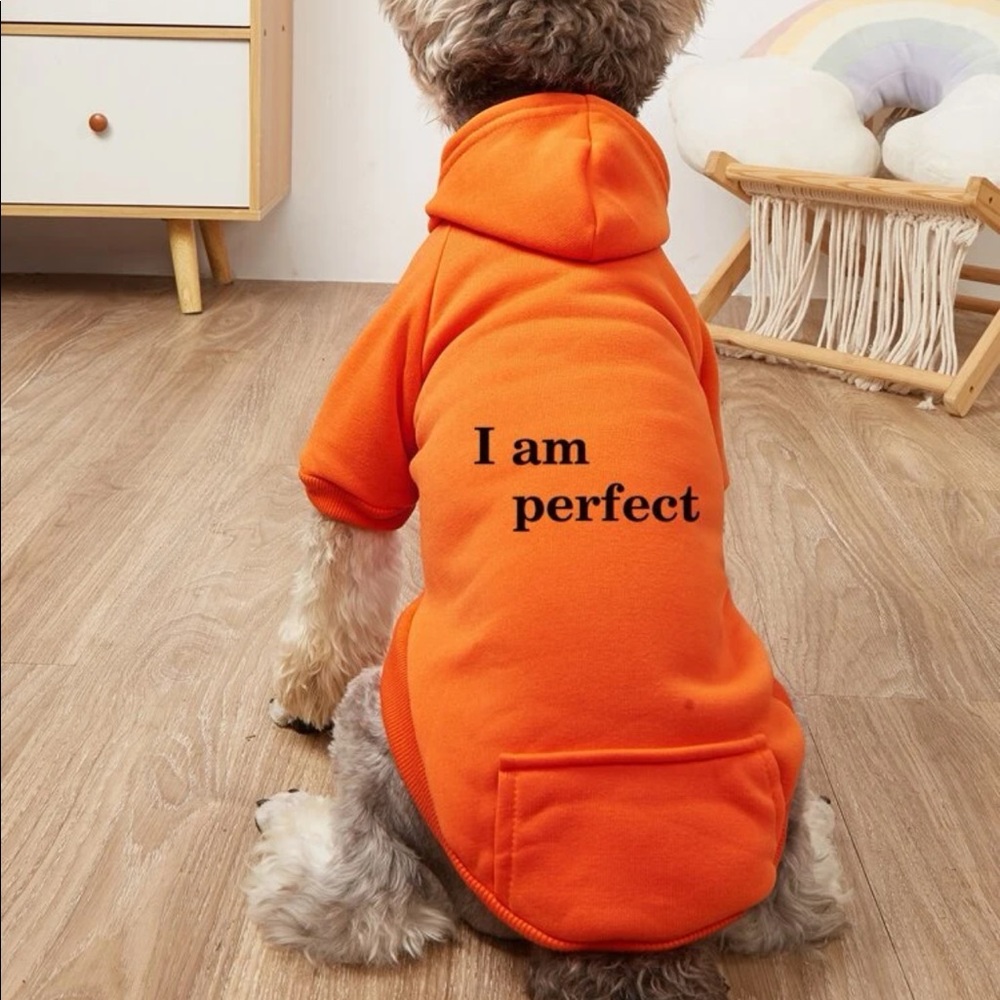 Graphic Print Pet Hoodie 🐕